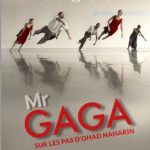 affiche_mrgaga.jpg