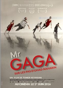 affiche_mrgaga.jpg