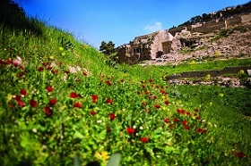 z1.jerusalem_en_fleurs_redim_280px_larg.jpg